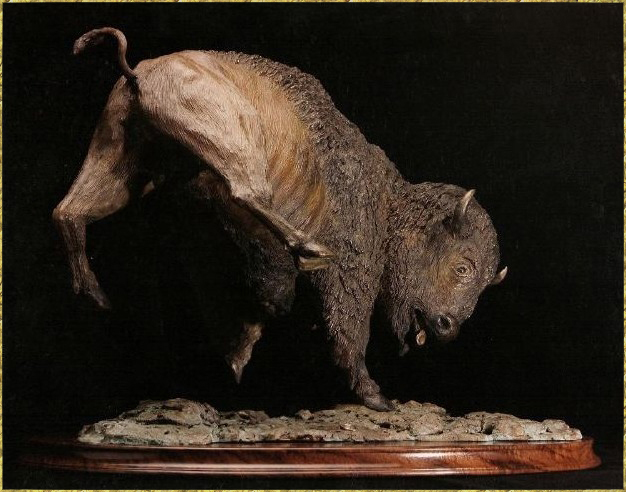Bison